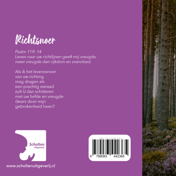 Richtsnoer - Afbeelding 2