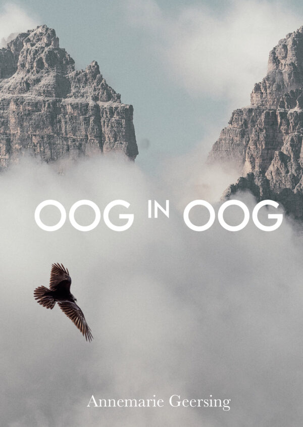 Oog in oog (e-book) - Afbeelding 2
