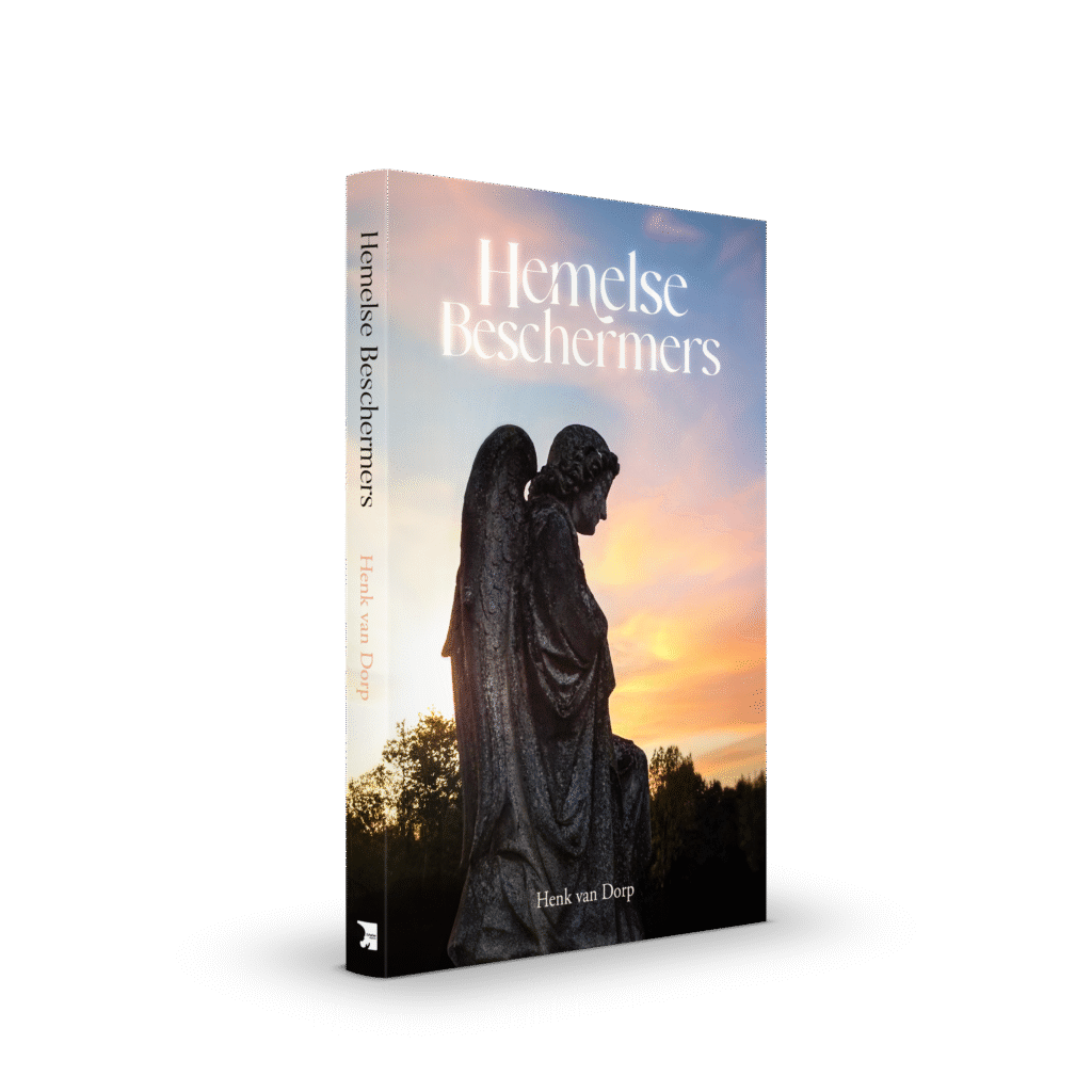Hemelse beschermers (E-book)